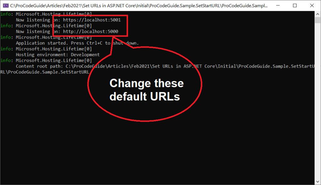 Set Start URL in ASP.NET Core