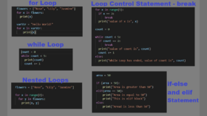 Loops and Conditionals in Python – while Loop, for Loop & if Statement