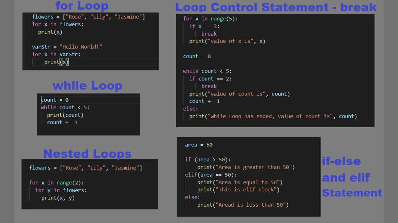 Loops And Conditionals In Python - While Loop, For Loop & If Statement |  Pro Code Guide